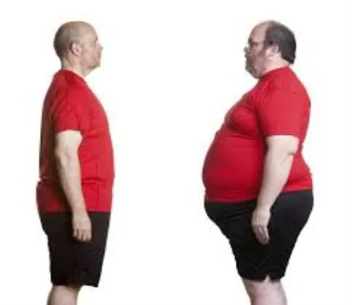 Fitmax3