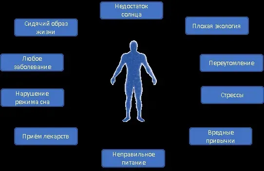 Nutrimix : състав само натурални съставки.