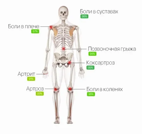 Steplex : състав само натурални съставки.